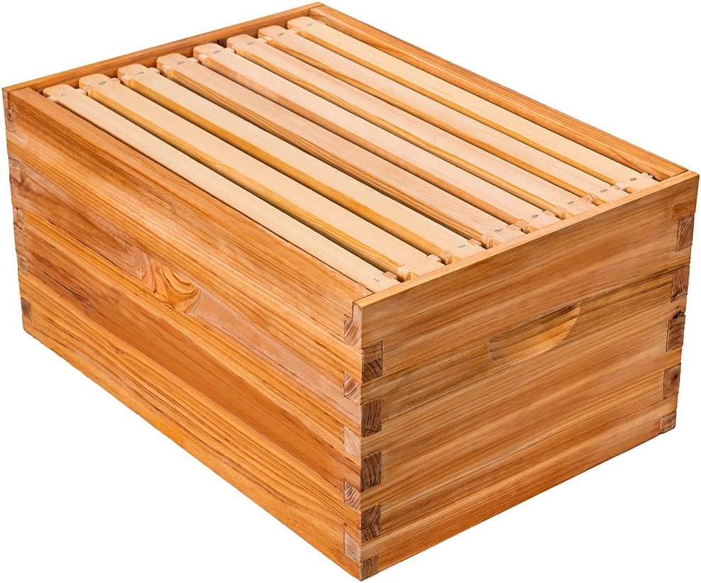 Honey Lake top-down view showing interior with frames seated and optimal brood space
