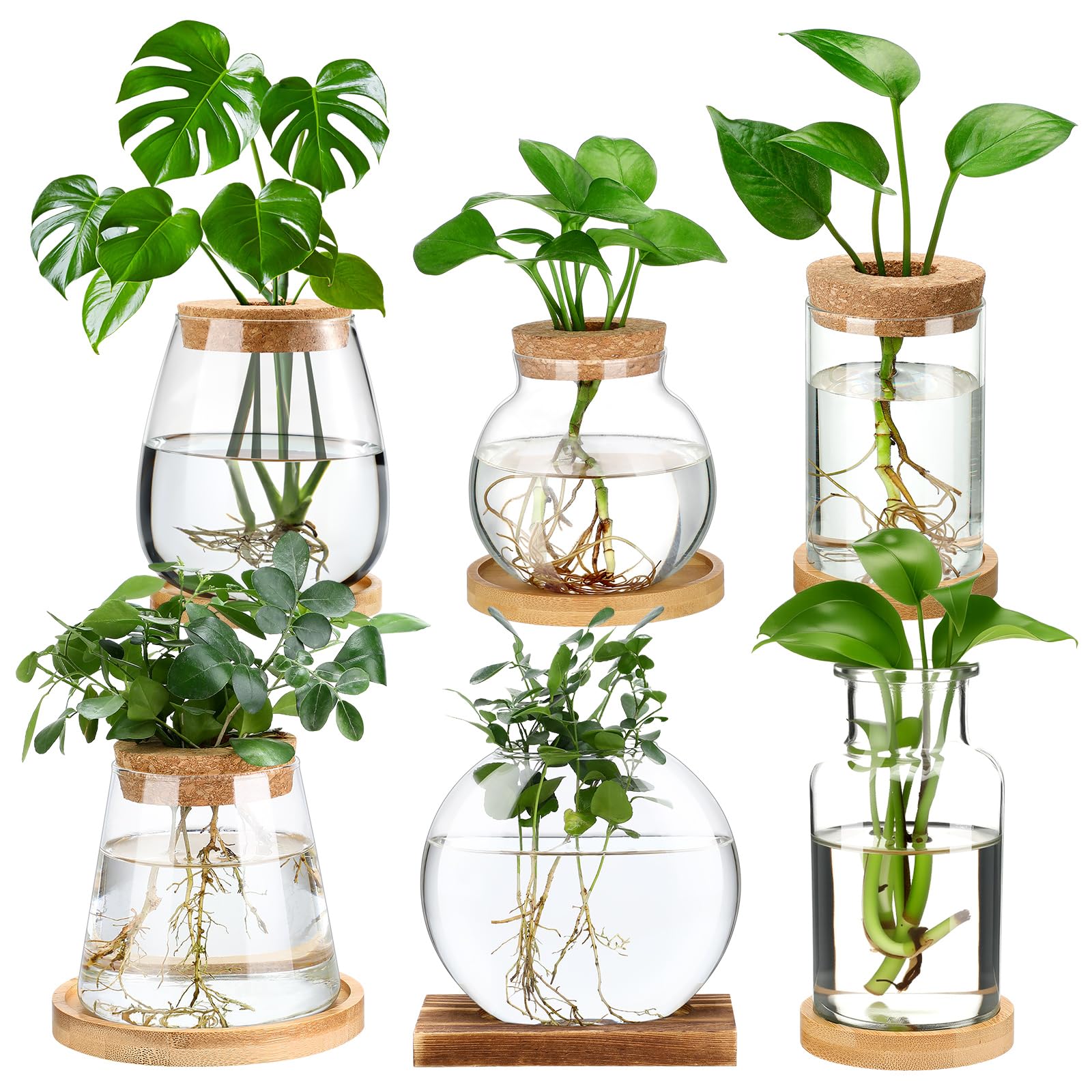 Honeydak front view showing six glass vases and decorative appeal
