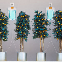 Honeydak hanging bag attached to a balcony planter providing hands-free watering