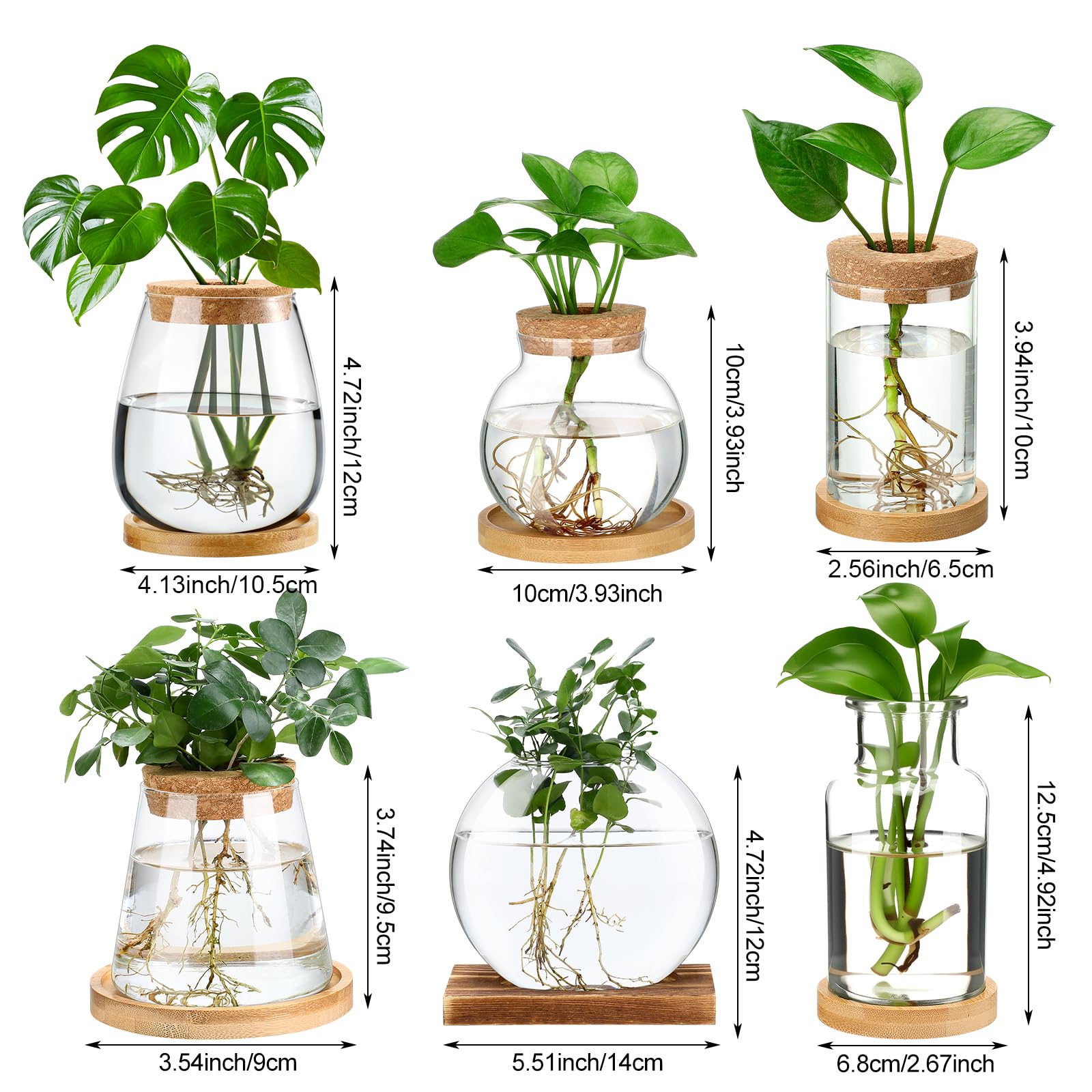Honeydak set in use on office desk adding greenery and calm
