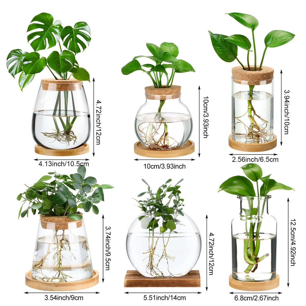 Honeydak set in use on office desk adding greenery and calm