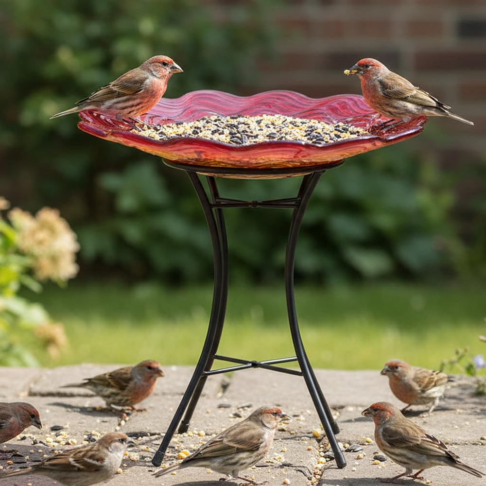 HONGLAND bird bath next to potted plant for scale and placement guidance