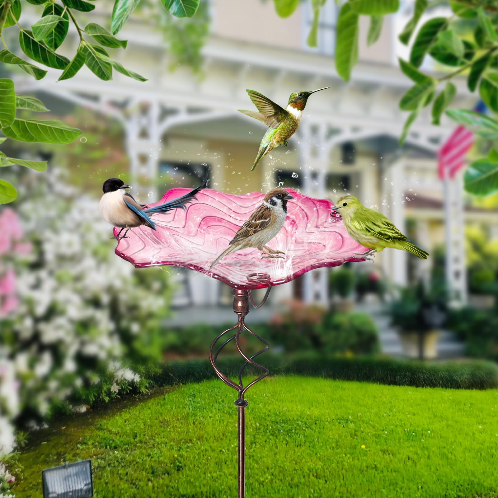 HONGLAND small bird perched in bowl illustrating wildlife attraction and safe shallow depth