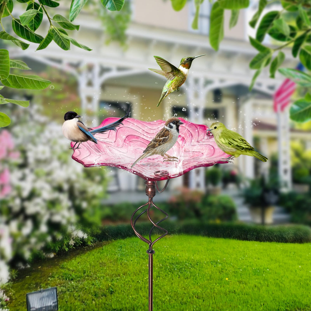HONGLAND small bird perched in bowl illustrating wildlife attraction and safe shallow depth