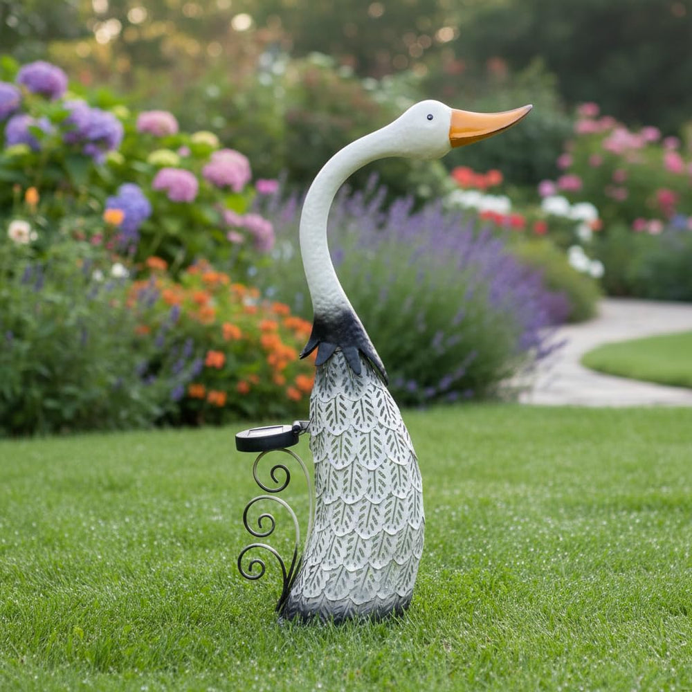 HONGLAND swan glowing at dusk providing soft evening ambience
