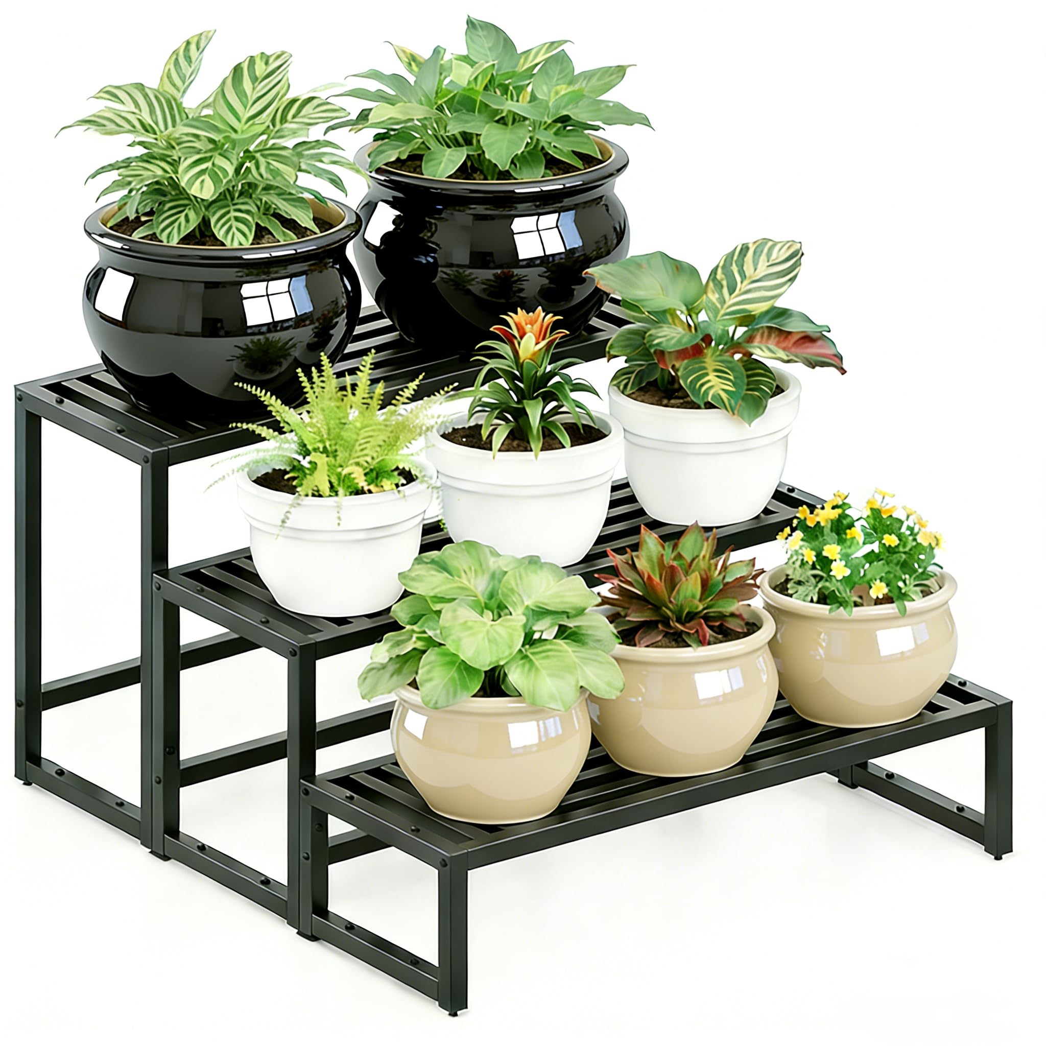 Hongsane scale comparison with large pot showing generous capacity