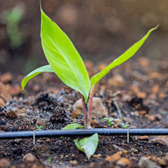 HongWay staples securing landscape fabric delivering stable hold