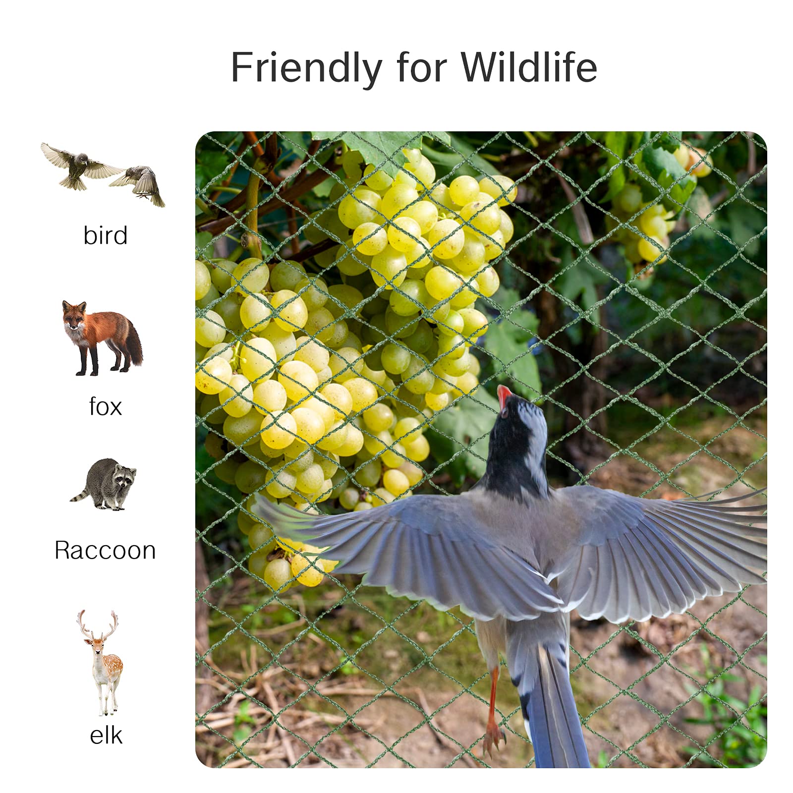 honsundy draped on fruit tree shields cherries without harming wildlife