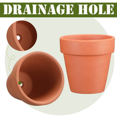 Hoolerry view of drainage hole detail showing water release for healthier roots
