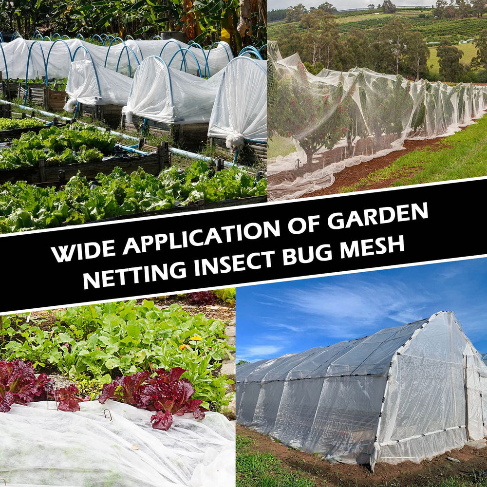 Hoolerry garden rows covered by netting keeping birds and pests out