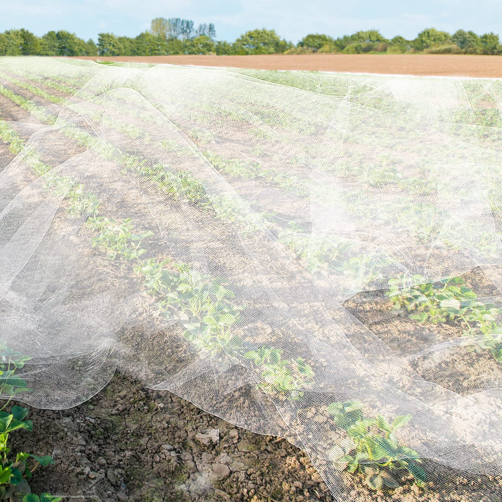 Hoolerry netting secured on greenhouse frame for row cover protection