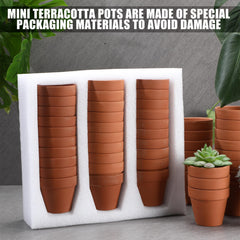 Hoolerry mini pot with succulent on windowsill providing compact indoor display