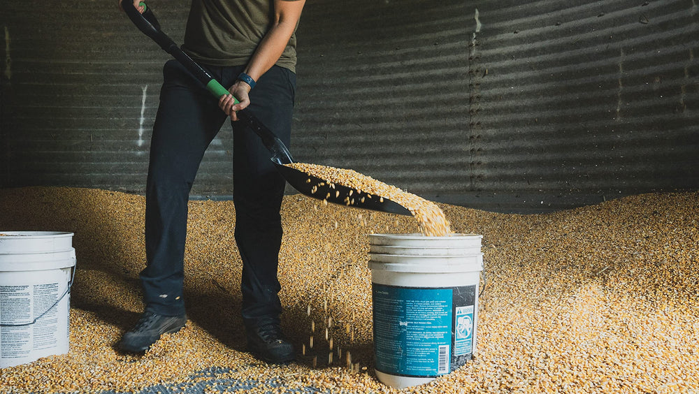 Hooyman shovel in use moving grain illustrating efficient bulk handling