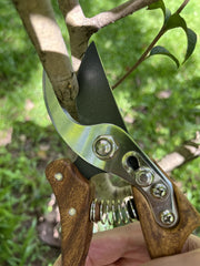 Horsvill shears cutting a flower stem demonstrating precise, clean cuts for floristry and gardening