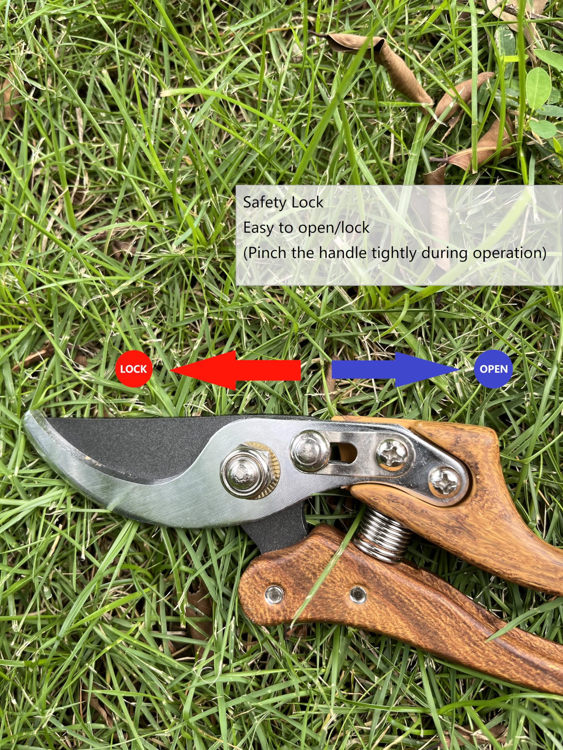 Horsvill shears beside ruler showing scale and suitability for branches up to one inch diameter