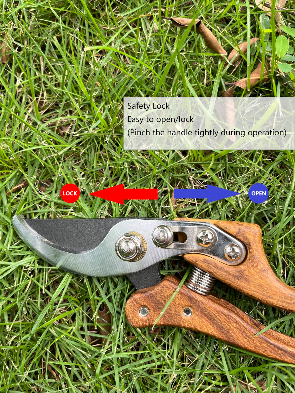 Horsvill shears beside ruler showing scale and suitability for branches up to one inch diameter