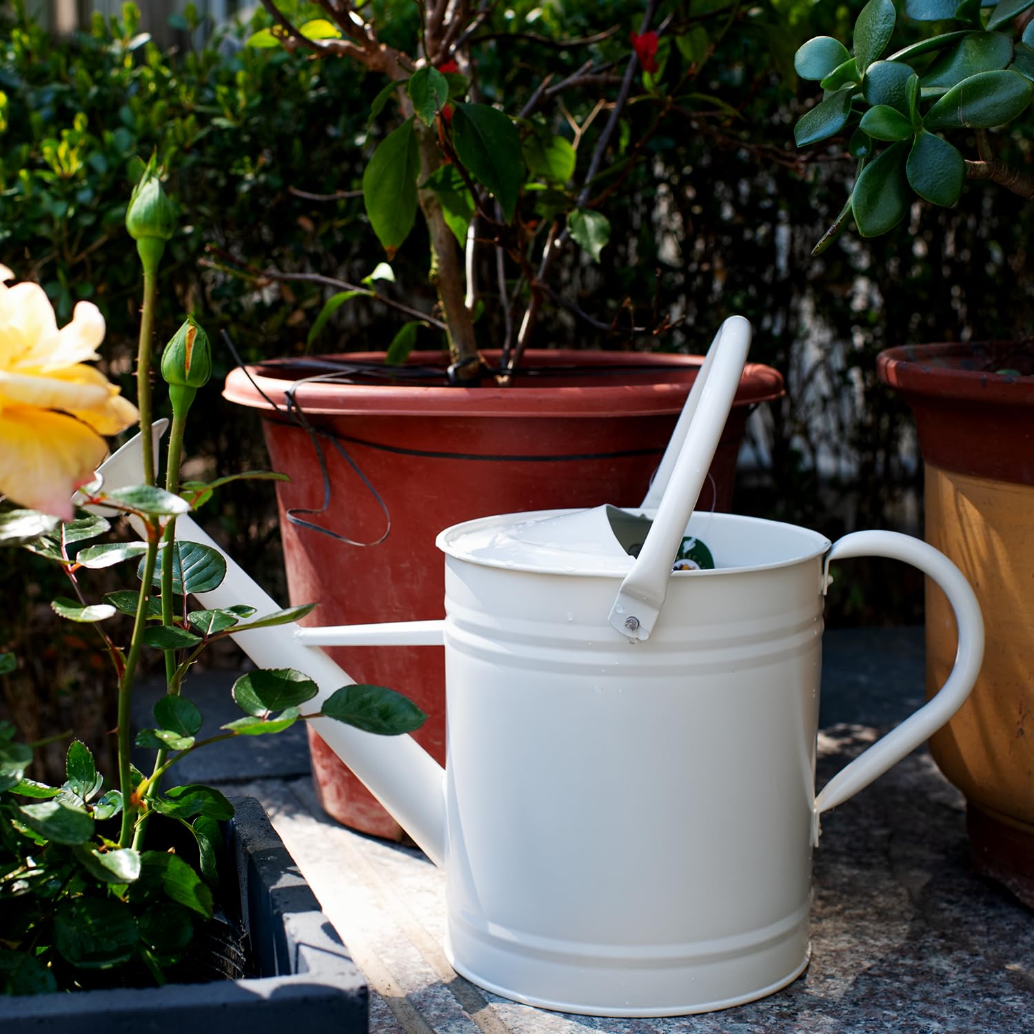 HORTICAN close-up metal texture and removable spout, easy-clean benefit