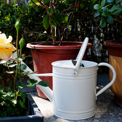 HORTICAN close-up metal texture and removable spout, easy-clean benefit