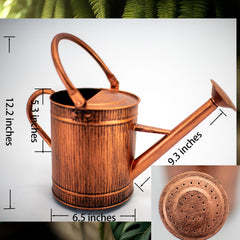 HORTICAN removable spout detached illustrating easy cleaning and flow control