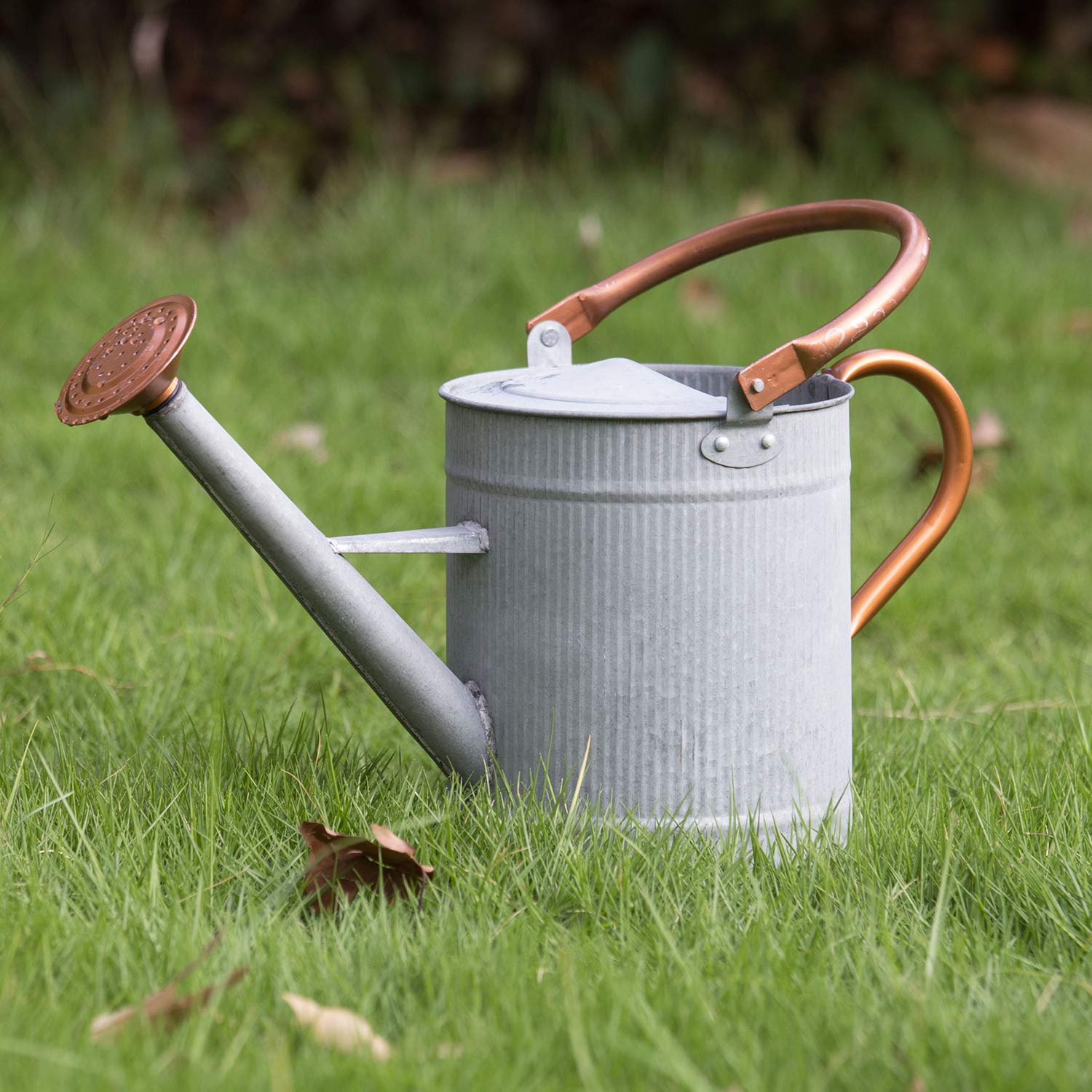HORTICAN front view of galvanized watering can showing farmhouse finish and durability