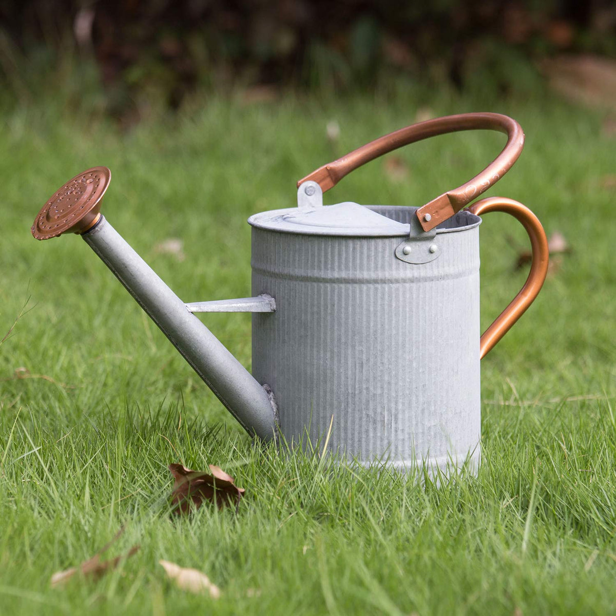HORTICAN front view of galvanized watering can showing farmhouse finish and durability