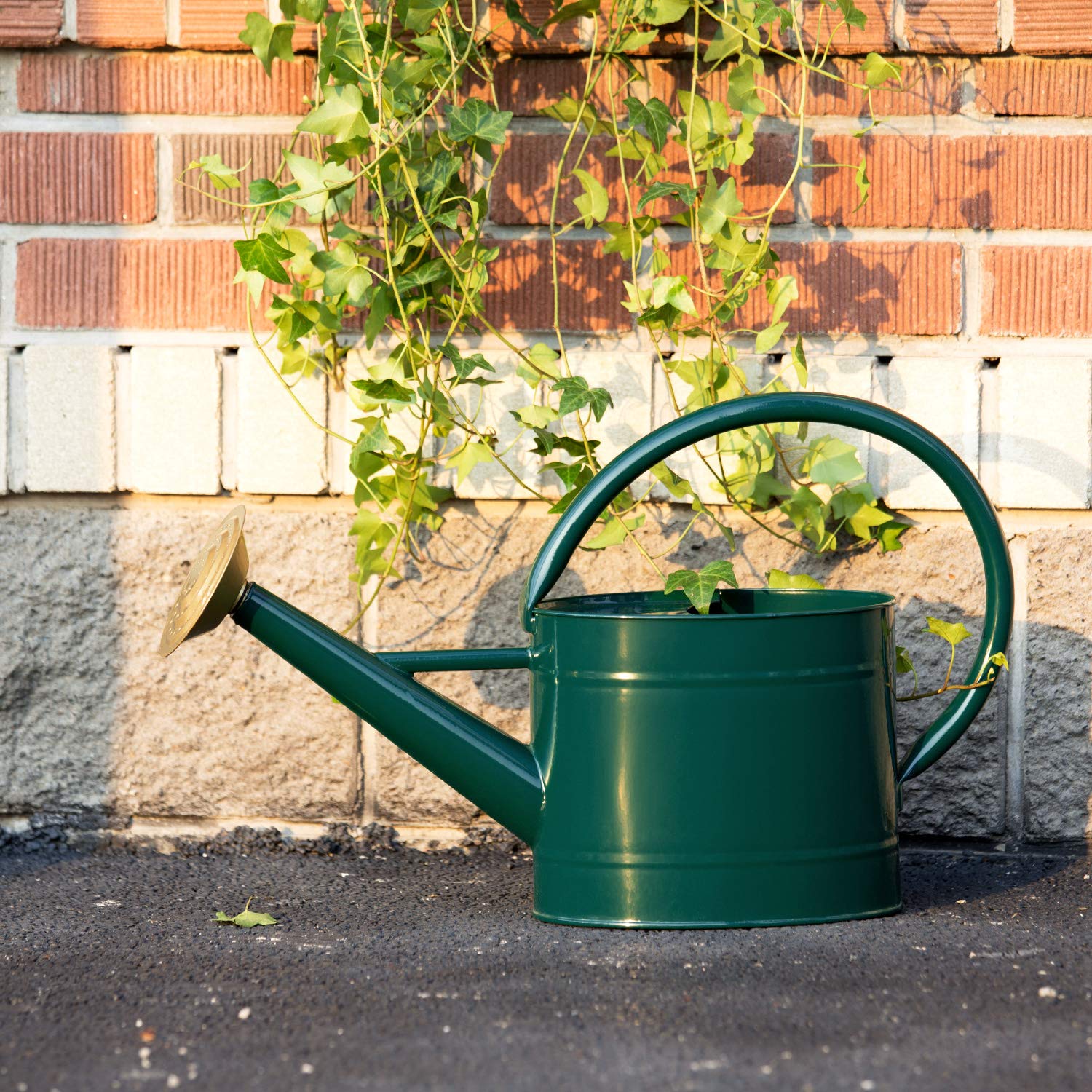 HORTICAN front view showing jade green finish and elegant silhouette benefit: attractive storage