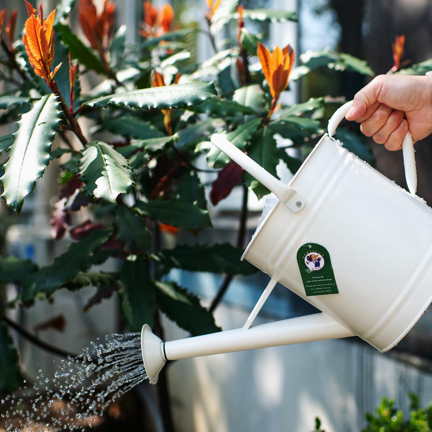 HORTICAN watering can in use on an indoor plant, precise-pour benefit