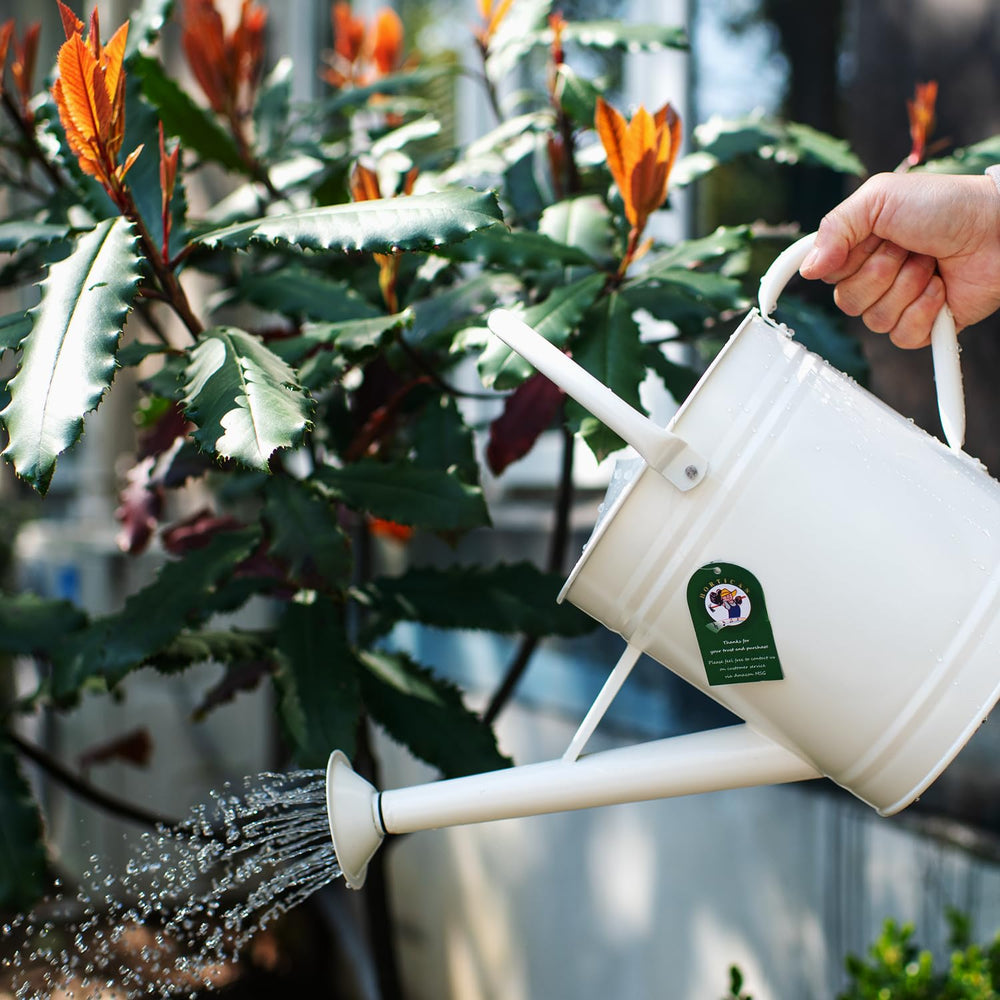 HORTICAN watering can in use on an indoor plant, precise-pour benefit