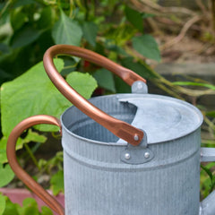 HORTICAN pouring water into potted plant demonstrating gentle watering benefit