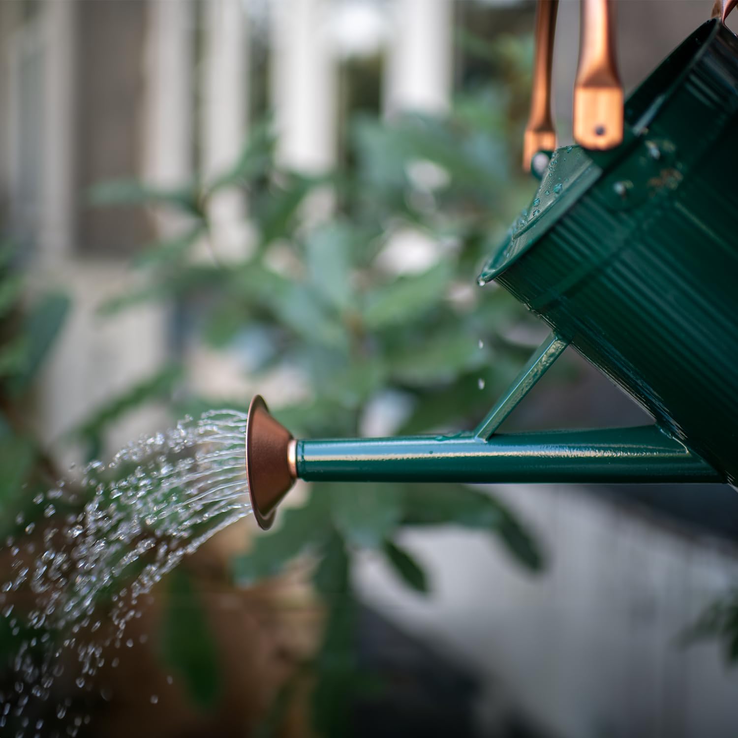 HORTICAN pouring water into a potted plant, precise control reduces splashing and overwatering