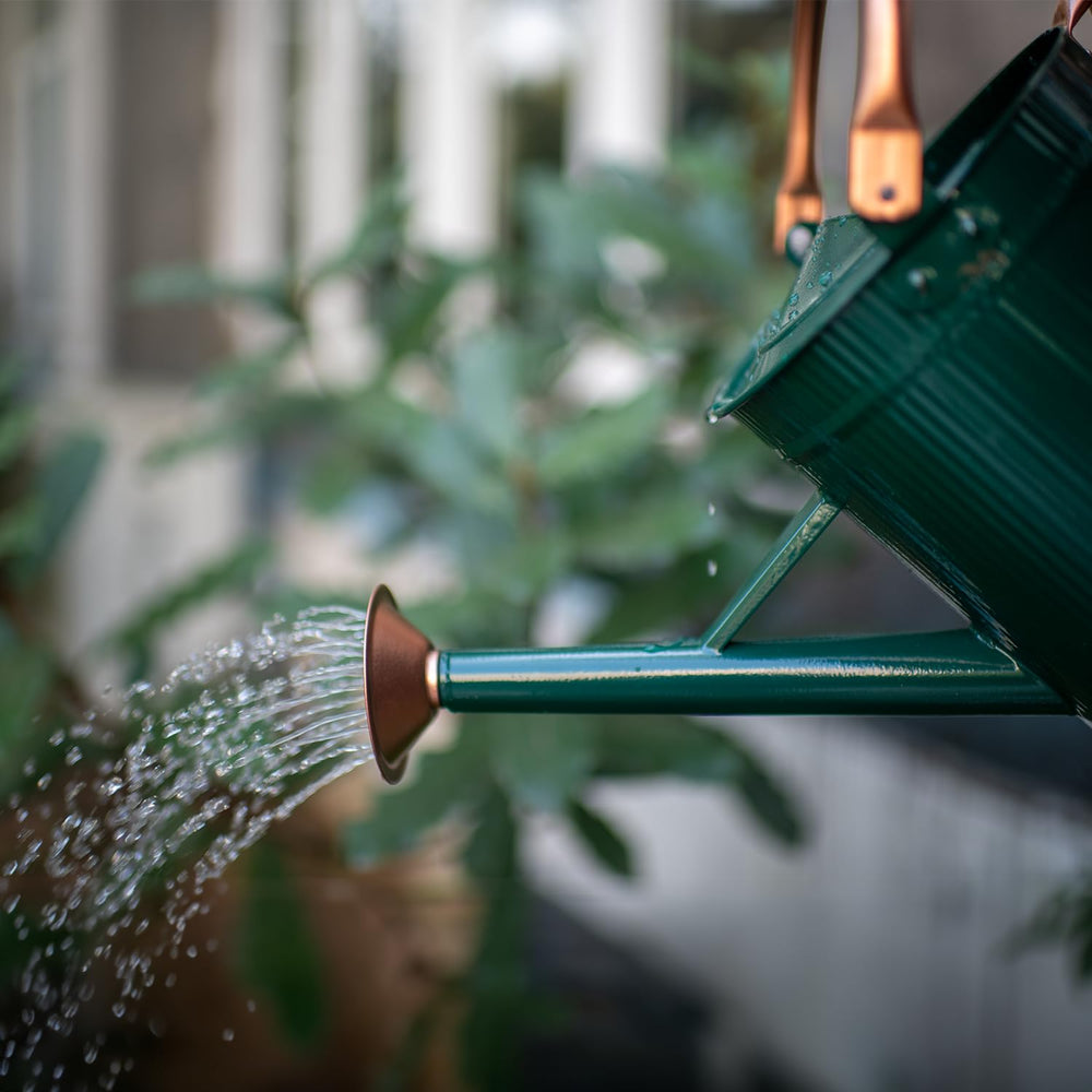 HORTICAN pouring water into a potted plant, precise control reduces splashing and overwatering