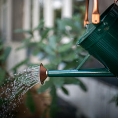 HORTICAN pouring water into a potted plant, precise control reduces splashing and overwatering