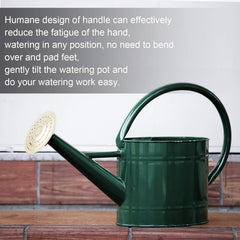 HORTICAN removable spout close-up showing attachment and shower option benefit: precise flow