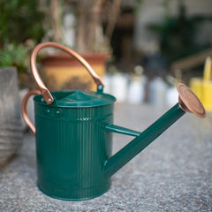 HORTICAN close-up of removable spout detached, easy cleaning and versatile watering