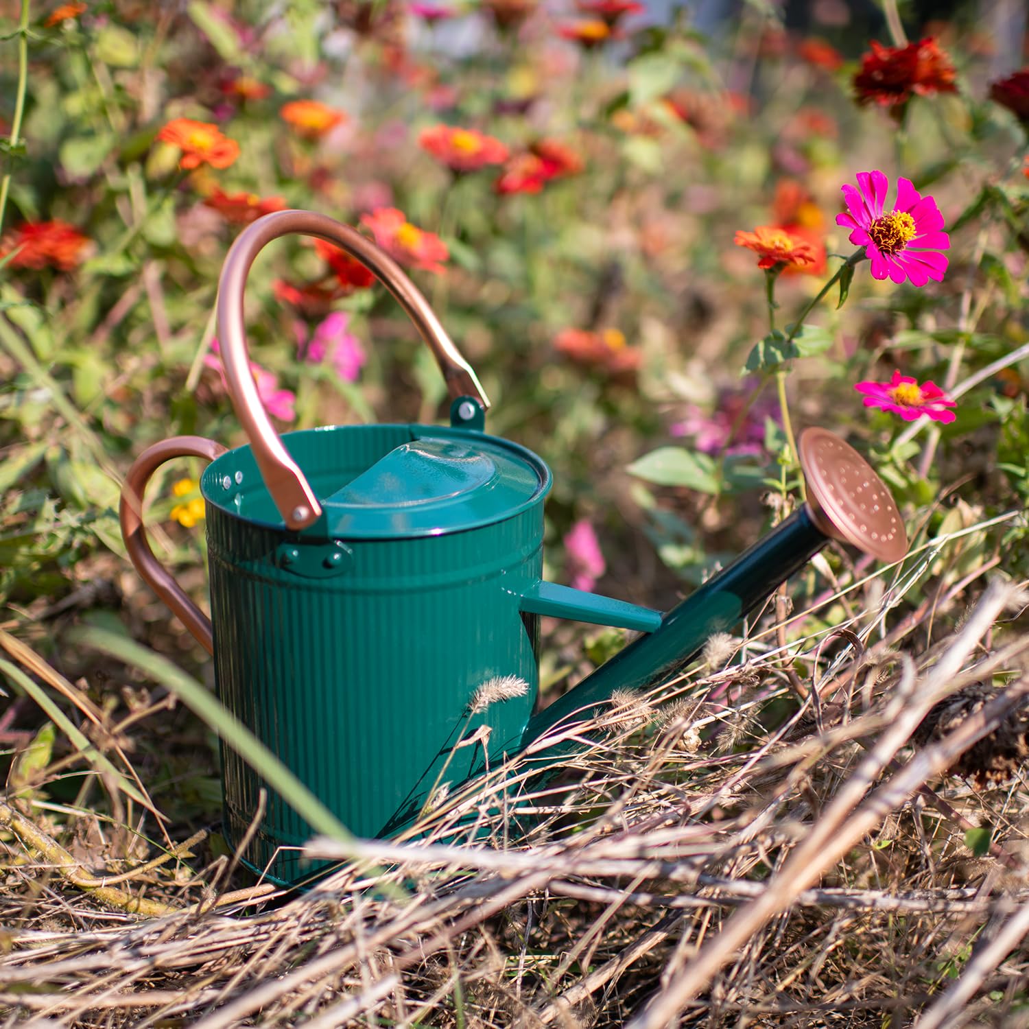 HORTICAN watering can next to a kettle for scale, one-gallon capacity shown for portability
