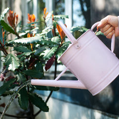 HORTICAN next to a hand and pot to show 1-gallon capacity scale