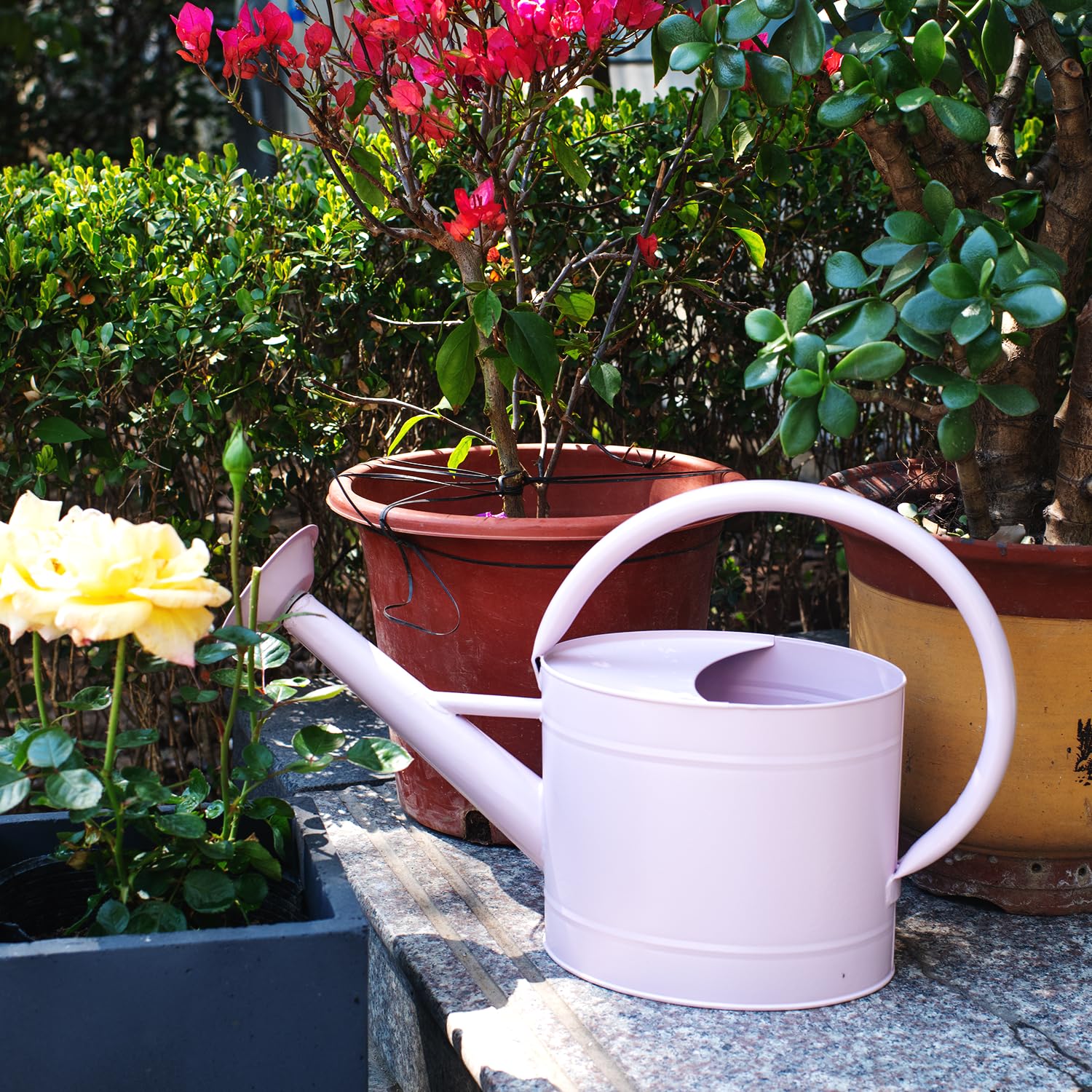 HORTICAN next to a plant pot for scale showing 1.3 gallon capacity benefit