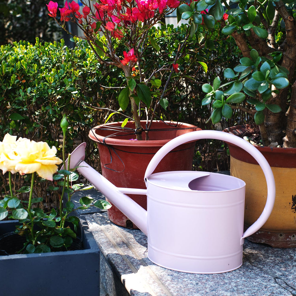 HORTICAN next to a plant pot for scale showing 1.3 gallon capacity benefit