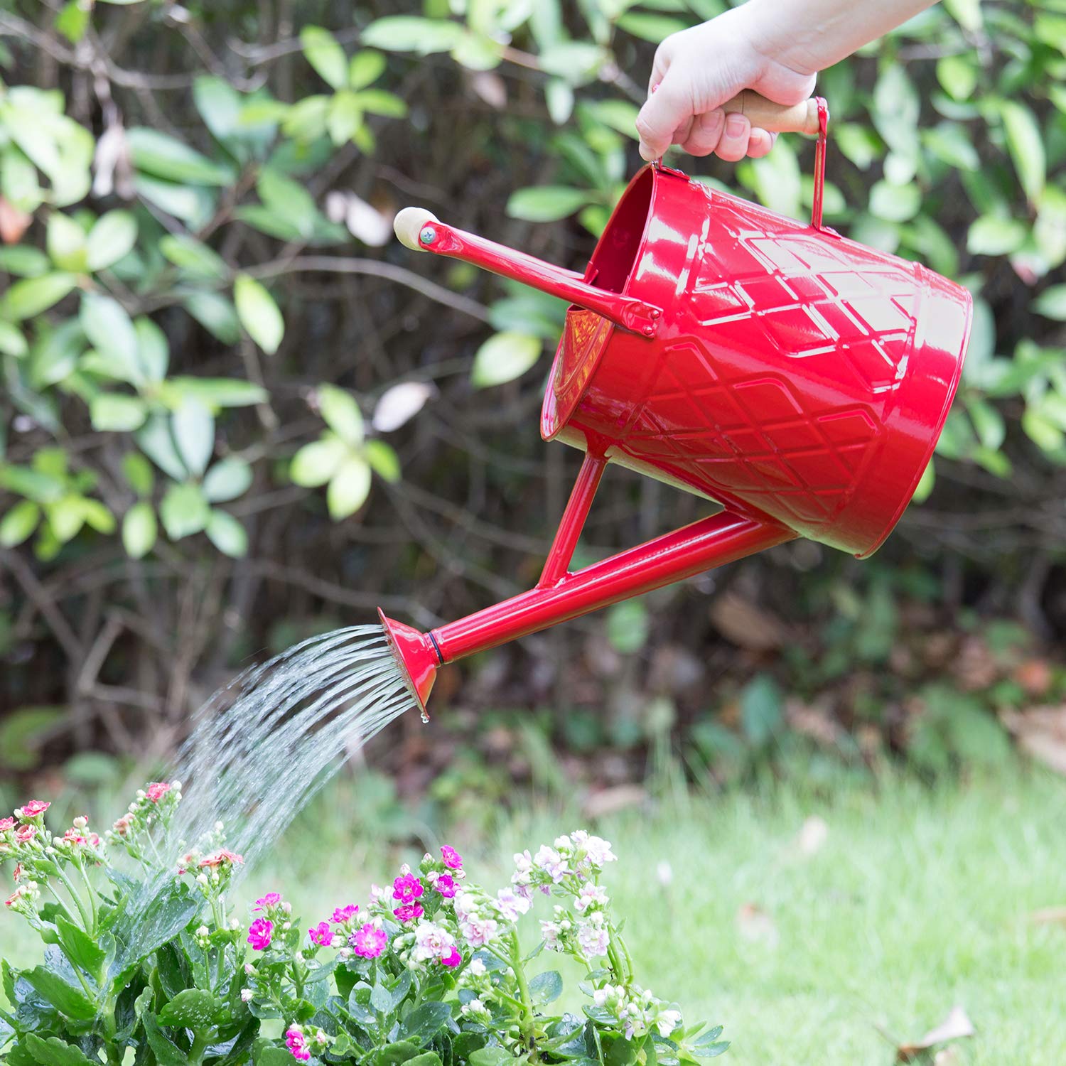 HORTICAN top fill and spout detail for quick refills and cleaning