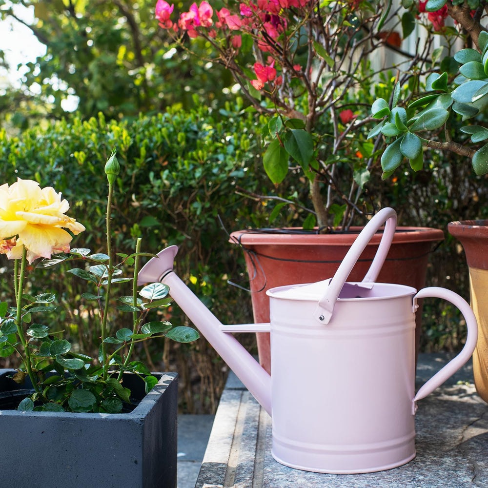 HORTICAN in use watering a potted plant to show gentle flow control