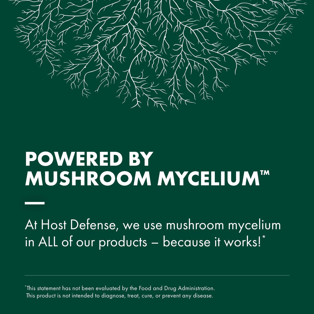 Host Defense lifestyle shot of a small mushroom growing space showing practical application and scale