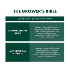 Host Defense scanning electron micrograph revealing fungal structure for accurate identification