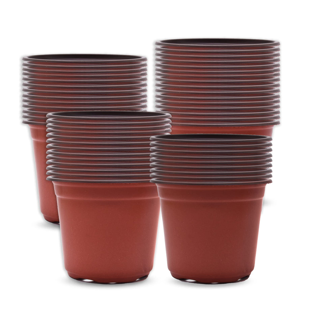 HOSTIC front pack view showing 100 pots and clear packaging, convenient bulk supply