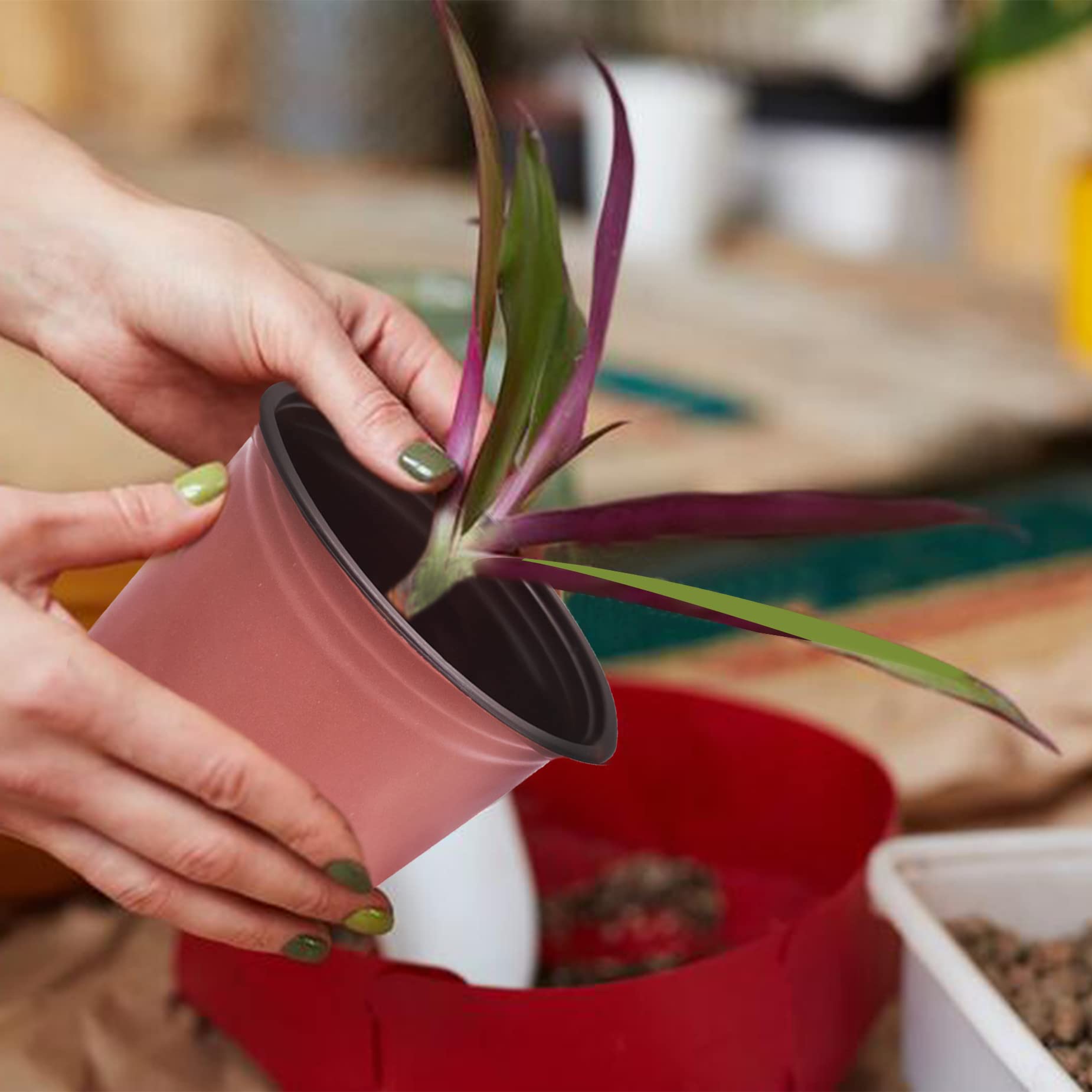 HOSTIC pot with young seedling in use illustrating healthy early growth support