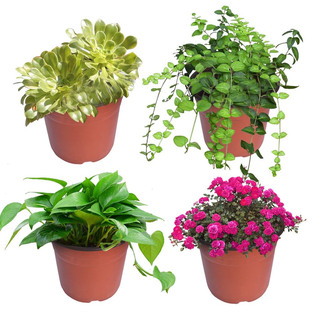 HOSTIC stacked pots demonstrating space-saving storage and fast setup