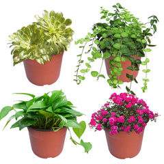 HOSTIC stacked pots demonstrating space-saving storage and fast setup