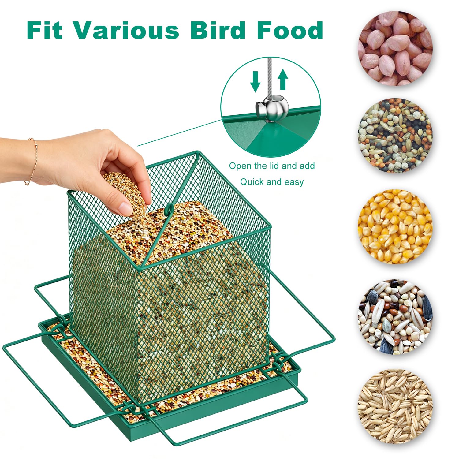 HOSUN lifestyle backyard scene with feeder attracting wild birds for observation