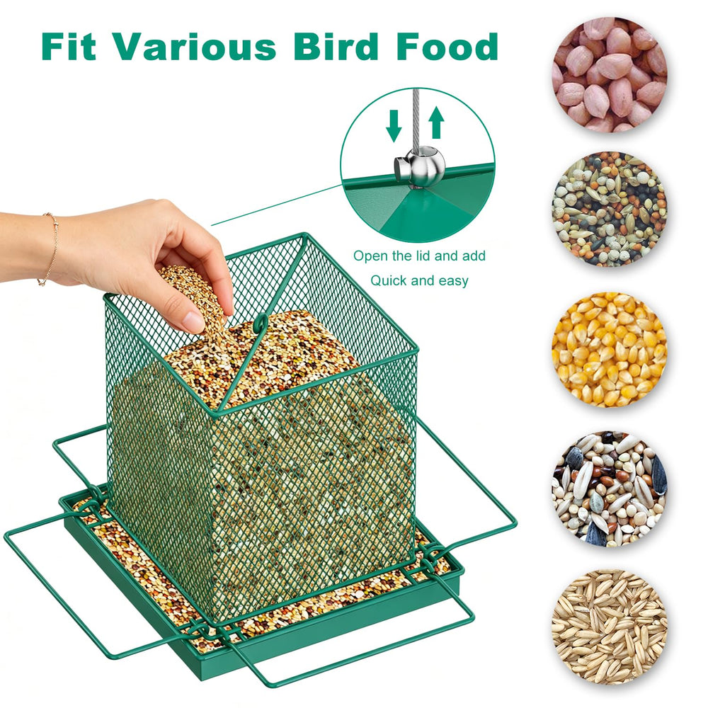 HOSUN lifestyle backyard scene with feeder attracting wild birds for observation