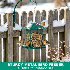 HOSUN sloped metal roof detail protecting seed and improving all-season performance