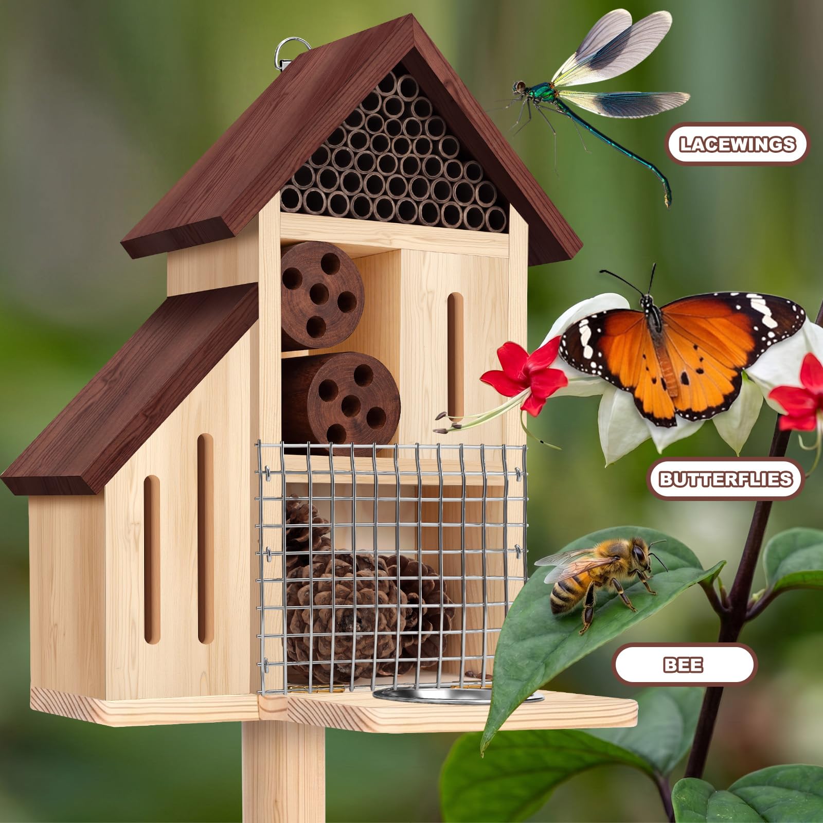 Hoteam butterfly compartment open and lined for shelter, provides safe resting space